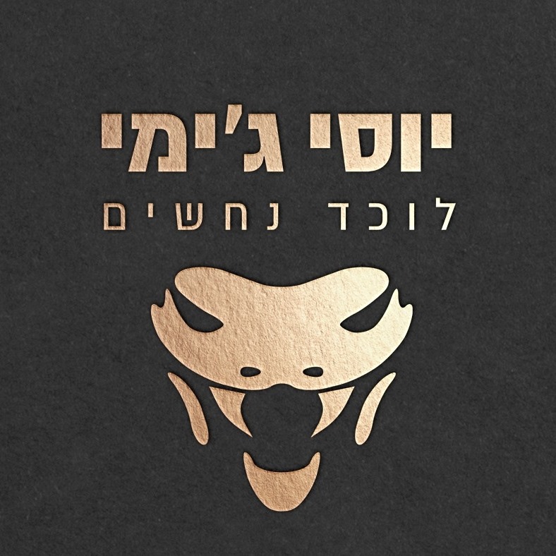 יוסי לוכד נחשים